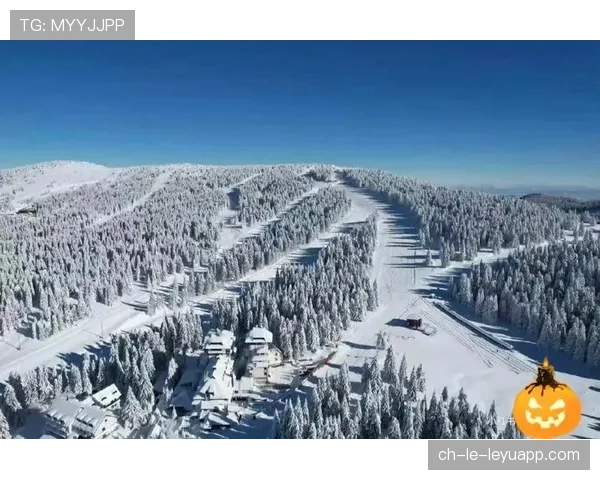 熊出现在滑雪赛道：雪季结束的信号，熊滑雪是什么牌子